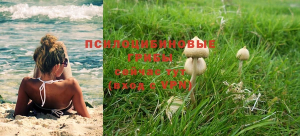 первитин Богородицк