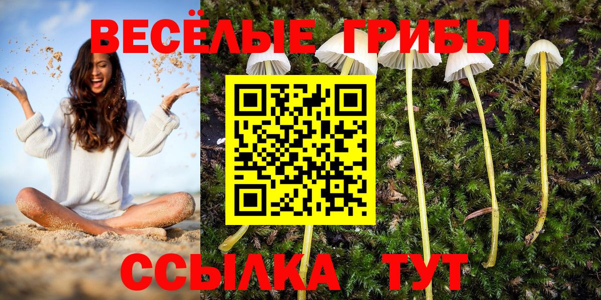 Среднеуральск  Псилоцибиновые грибы мицелий  Вход с VPN 